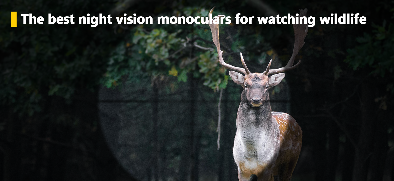 The best night vision monoculars for watching wildlife